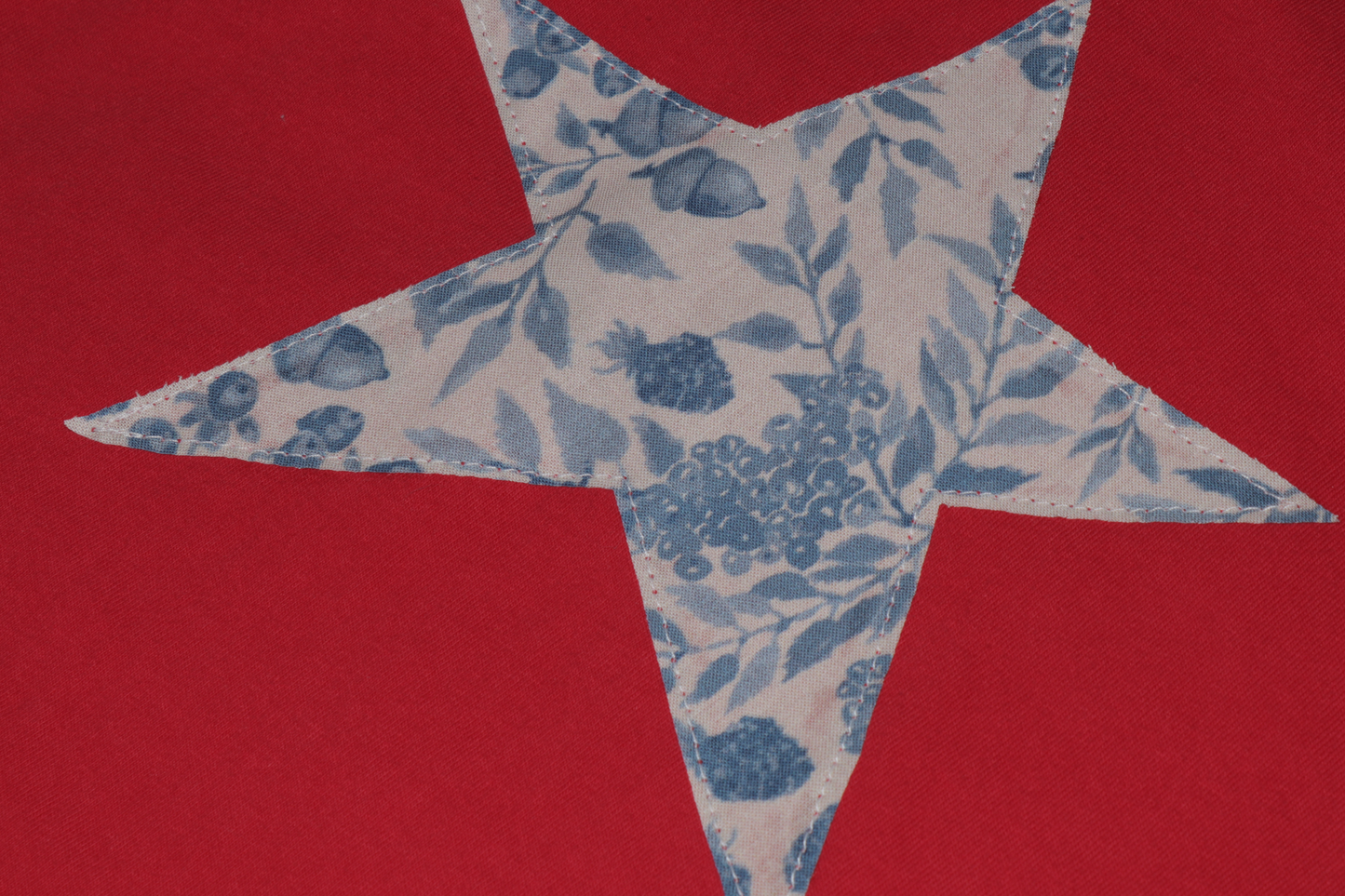 Red Star T-Shirt with Berry Pattern