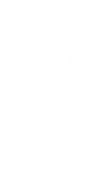 Asho Designs